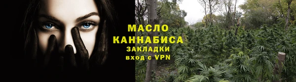 крисы Козельск