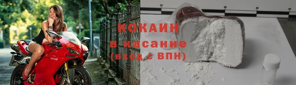 крисы Козельск