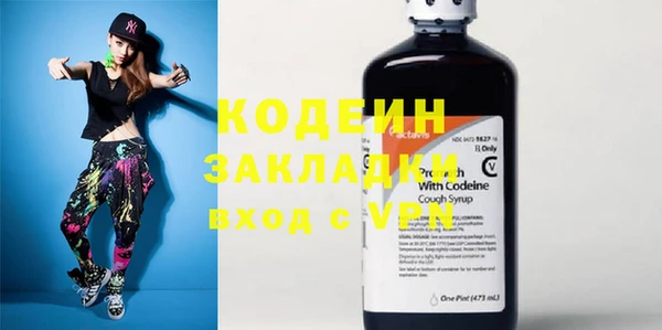 крисы Козельск