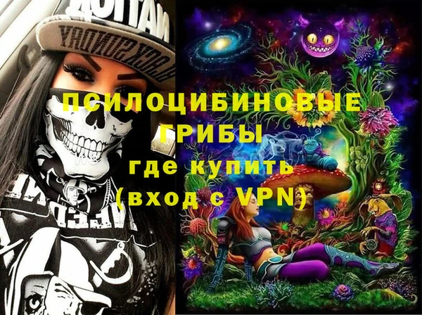 крисы Козельск