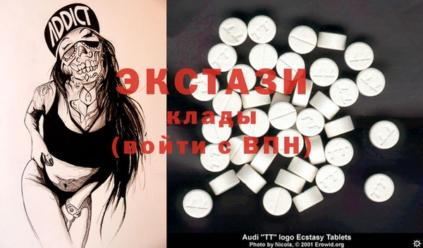 крисы Козельск
