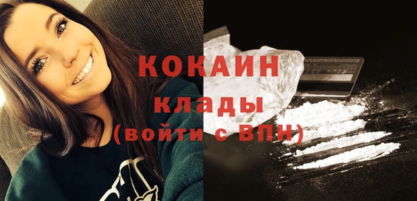 крисы Козельск