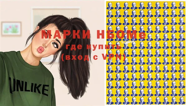 крисы Козельск