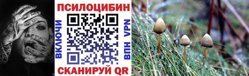 Галлюциногенные грибы мухоморы  Купить где  Калязин 